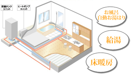 �G�R�L���[�g�E���g�[